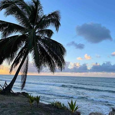 My Dream Beach House Aguada Eksteriør billede