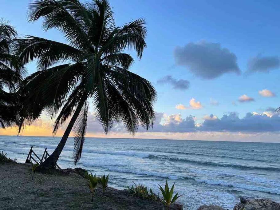 My Dream Beach House Aguada Eksteriør billede
