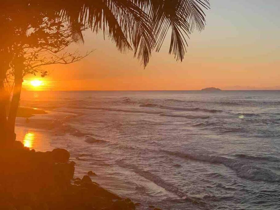 My Dream Beach House Aguada Eksteriør billede